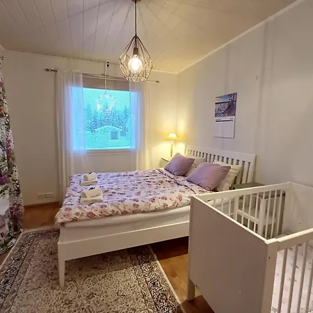 Arctic Villa-under The Northernlights *