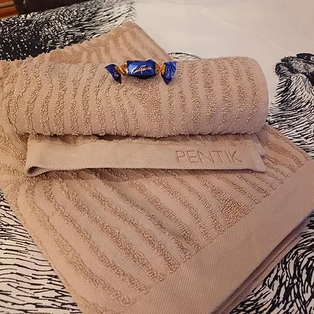 Arctic Villa-under The Northernlights Villa Rovaniemi