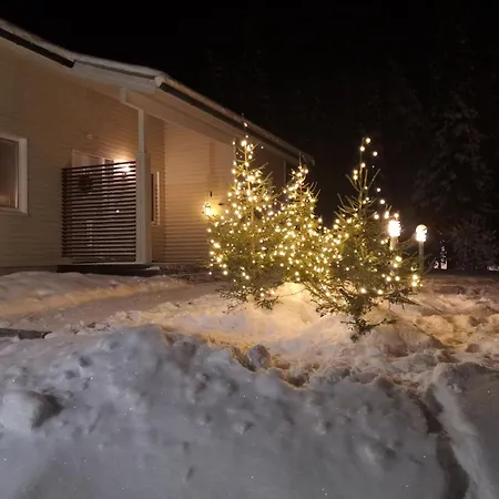 Arctic Villa-under The Northernlights