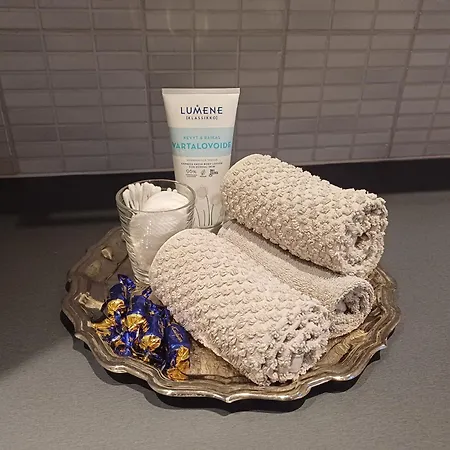 Villa Arctic Villa-under The Northernlights