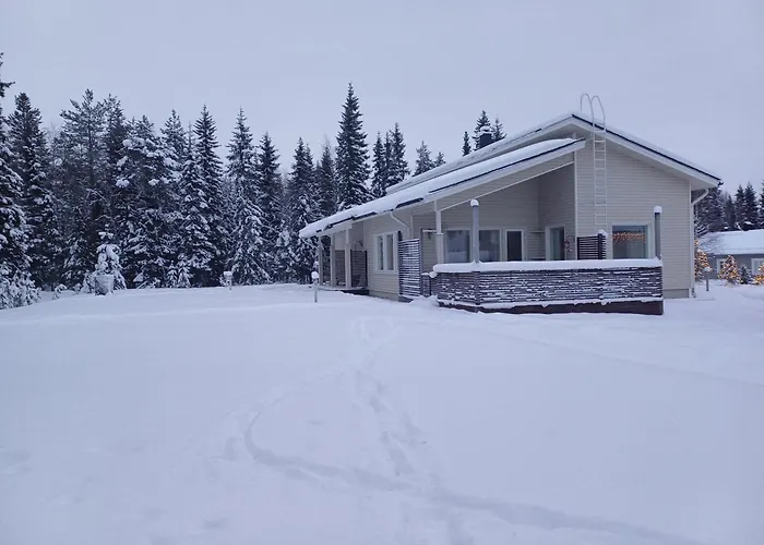 Arctic Villa-under The Northernlights Rovaniemi