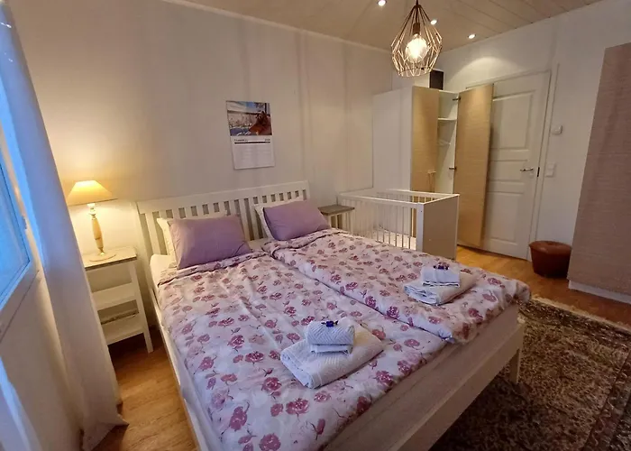 Arctic Villa-under The Northernlights Villa *