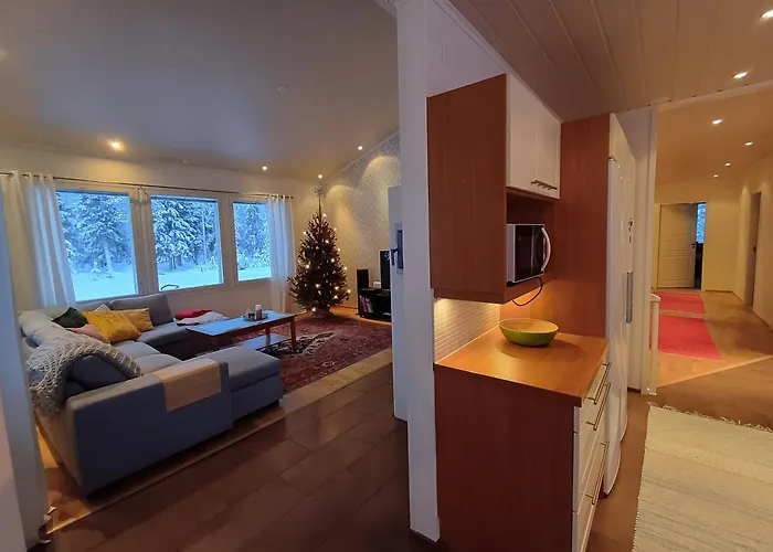 Arctic Villa-under The Northernlights Villa