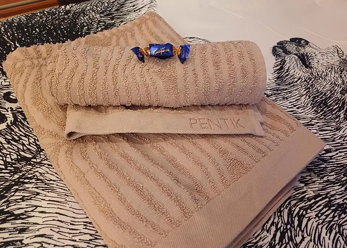 Arctic Villa-under The Northernlights Villa Rovaniemi