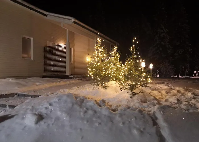 Arctic Villa-under The Northernlights