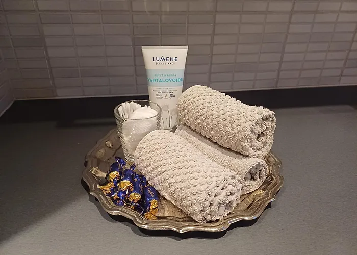 Villa Arctic Villa-under The Northernlights